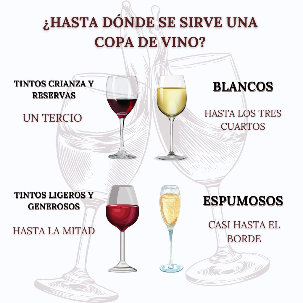 Descorchador | Sacacorchos de Aire Manual con Aireador, Tapón al Vacío y Cortador